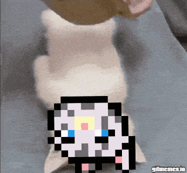 a pixelated image of a cat with the words gifmemes.io underneath