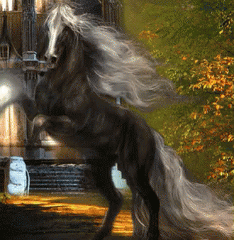 Black Horse GIF - Black Horse GIFs