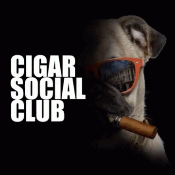 Cigar Social Club Cigarsocial GIF - Cigar Social Club Cigarsocial Cigar GIFs