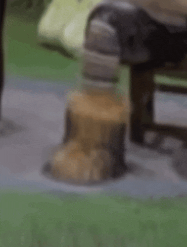 a person is sitting on a bench with a stump in the foreground