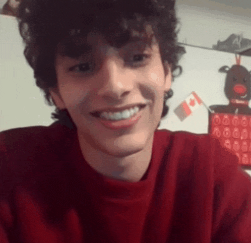 a young man with curly hair wearing a red sweater is smiling for the camera .
