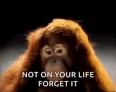 Orangutan Monkey GIF - Orangutan Monkey Smh GIFs