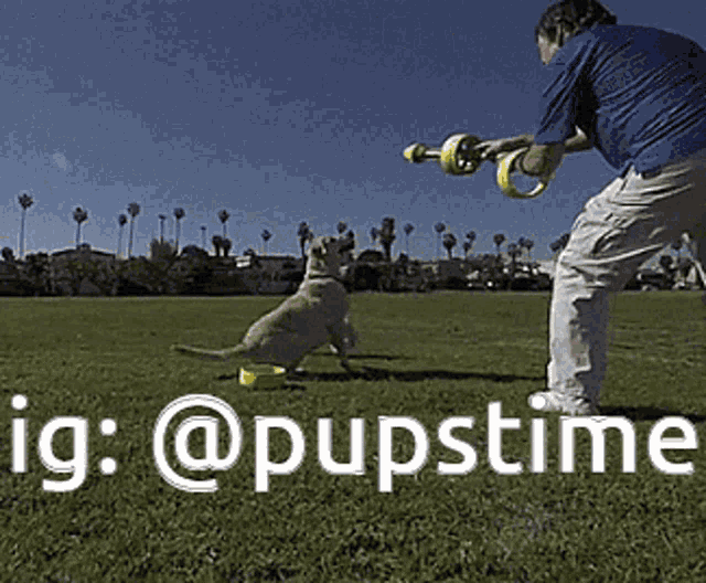 a man playing with a dog in a field with the hashtag @puppstime