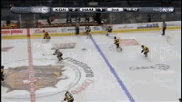 a hockey game is being played in a stadium with a large logo on the ice