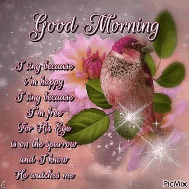 a greeting card with a bird and flowers that says good morning
