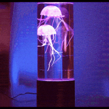 Jellyfish Lamp GIF - Jellyfish Lamp GIFs