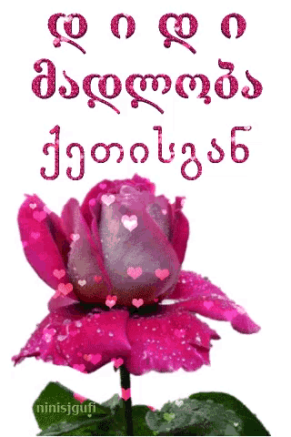 a picture of a pink rose with hearts and the words " minisjgufi " on the bottom