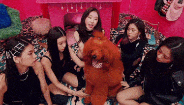 a group of women are sitting around a brown poodle dog .