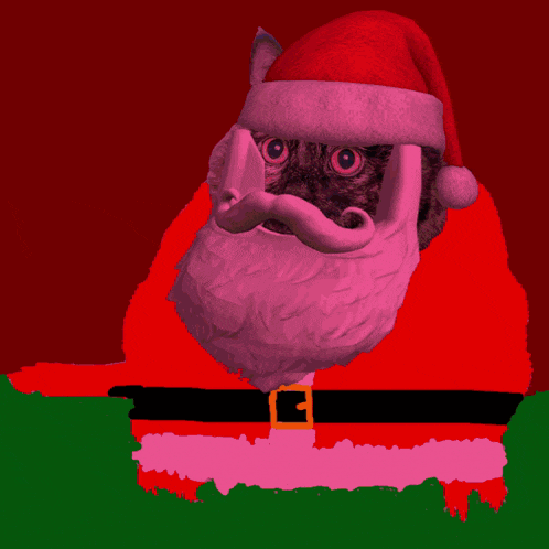 a cat with a santa hat and beard on a red background