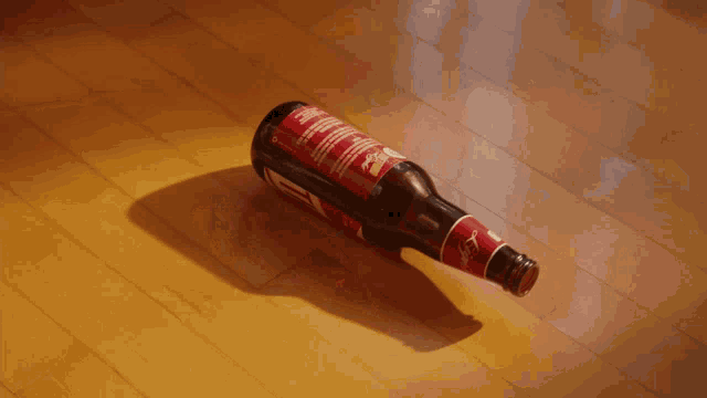 Marco Ema Beer GIF - Marco Ema Beer Party GIFs