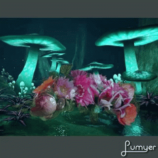 Magic Mushrooms Flowers GIF