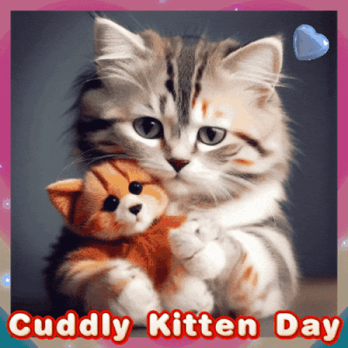 Kitten Cuddly Kitten GIF - Kitten Cuddly Kitten GIFs