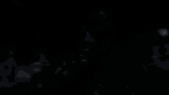 a t-rex is standing in the dark looking at the camera .