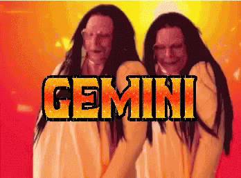Gemini Funny GIF