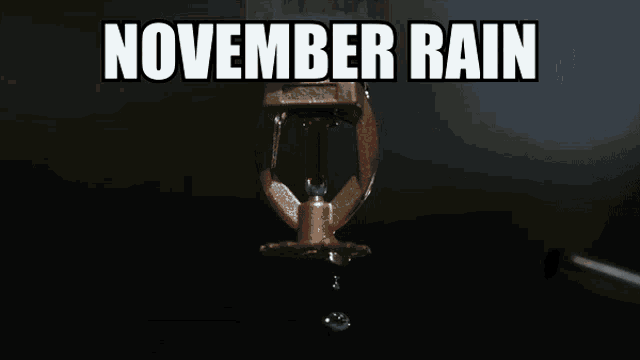 November Rain The Jojo Lands GIF - November Rain The Jojo Lands GIFs