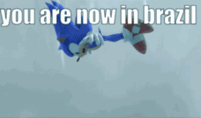 sonic the hedgehog is flying through the air with the words you are now in brazil above him