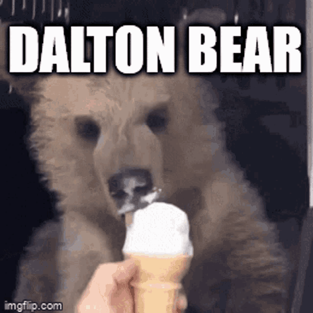 Dalton Daltoland GIF - Dalton Daltoland Daltotheman GIFs