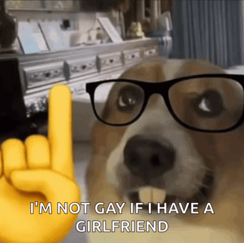 a dog wearing glasses says i 'm not gay if i have a girl friend