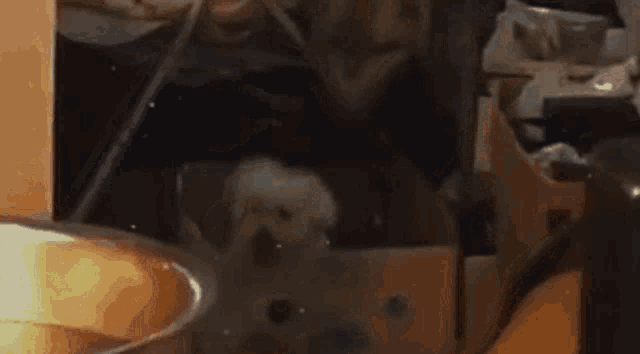 a cat is sitting in a cardboard box next to a bowl
