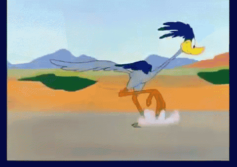 I'M Out GIF - Road Runner Run Lonelytoons GIFs