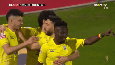 a group of soccer players are celebrating a goal on a soccer field