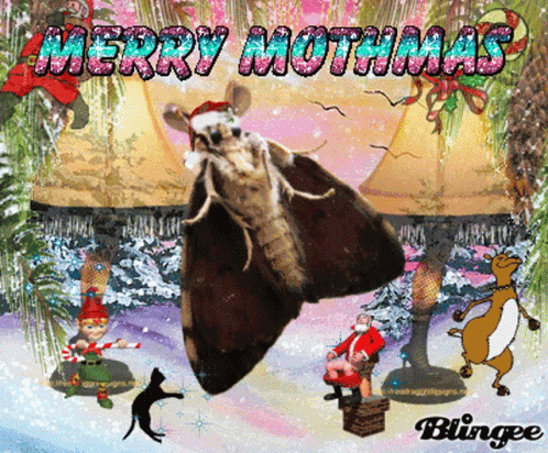 Merry Mothmas Moth GIF