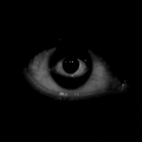 a black and white photo of a human eye