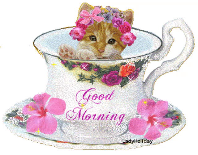 a kitten in a cup that says good morning on it