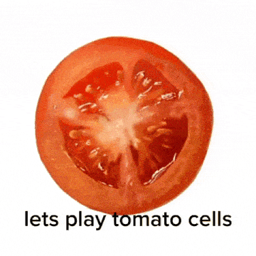 Tomato Cells A Little Curved Fee8 GIF - Tomato Cells A Little Curved Fee8 Funko Pop Explosion GIFs