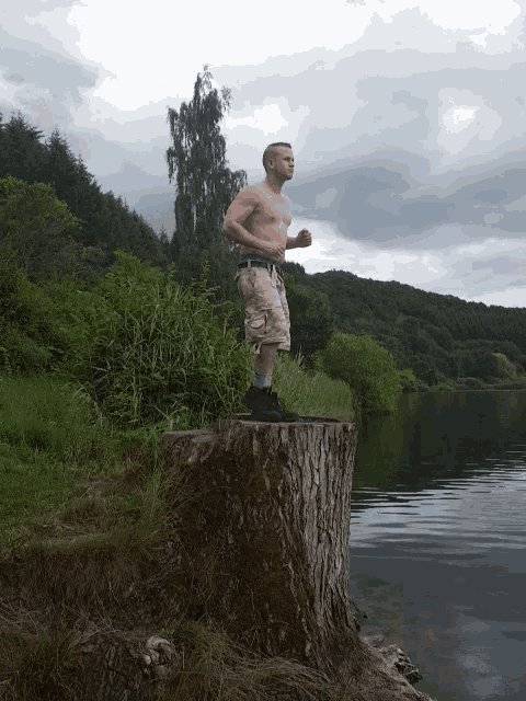 a shirtless man stands on a tree stump overlooking a body of water
