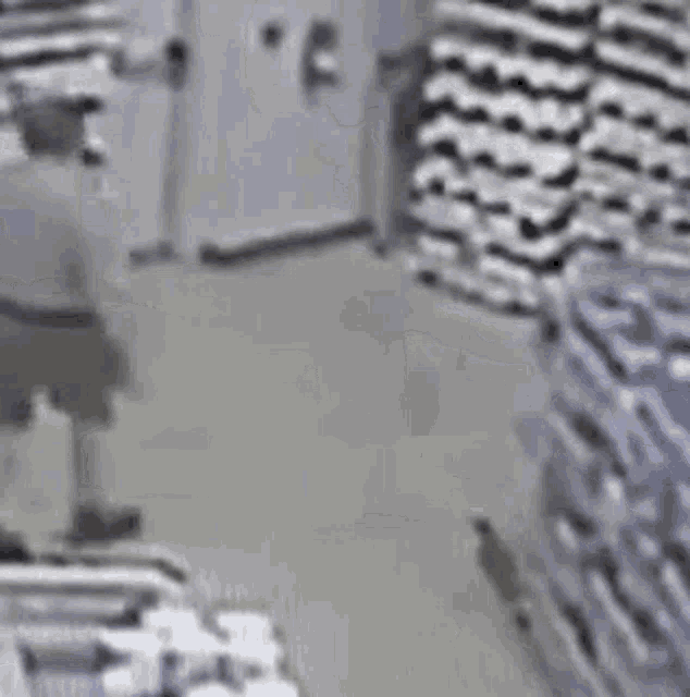 a man is walking through a store with a dog .