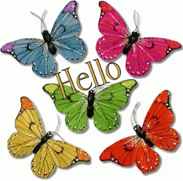 Butterflies Hello GIF - Butterflies Hello Colorful GIFs