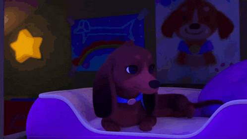 a dog laying in a purple dog bed with a yellow star in the background