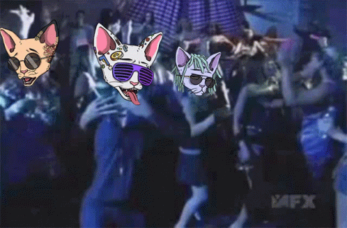 Catsoncracknft Cetsoncreck GIF - Catsoncracknft Cetsoncreck Cocnft GIFs