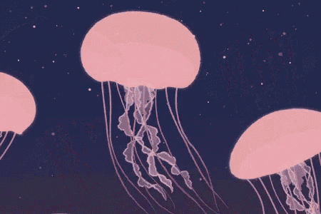 a group of pink jellyfish are swimming in the water .