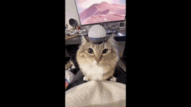 a cat sitting on a person 's lap with a red light on its head