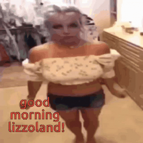 Gmlizzoland Britneyland GIF - Gmlizzoland Britneyland GIFs