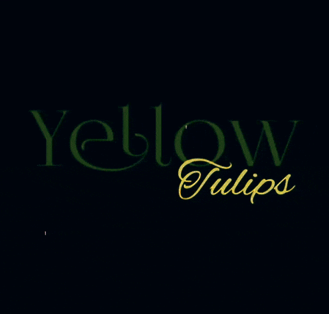 a red background with the words yellow tulips written on it
