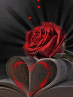 Hi Heart GIF - Hi Heart Red Rose GIFs