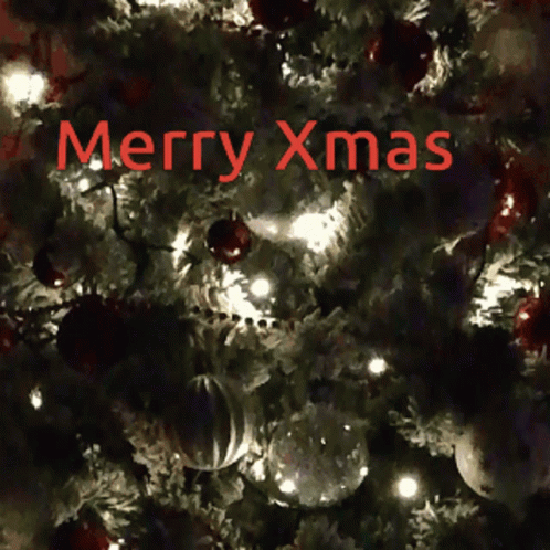 Christmas Tree Christmas Miracle GIF - Christmas Tree Christmas Miracle Christmas Good Morning GIFs