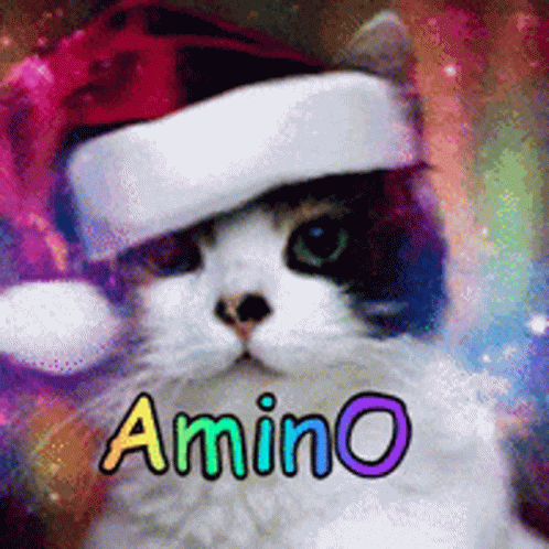 Cat Christmas GIF - Cat Christmas GIFs