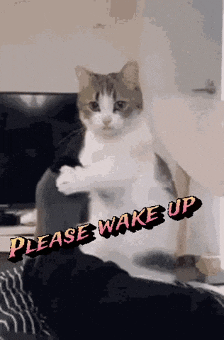 a cat is sitting on a person 's lap with the words please wake up behind it