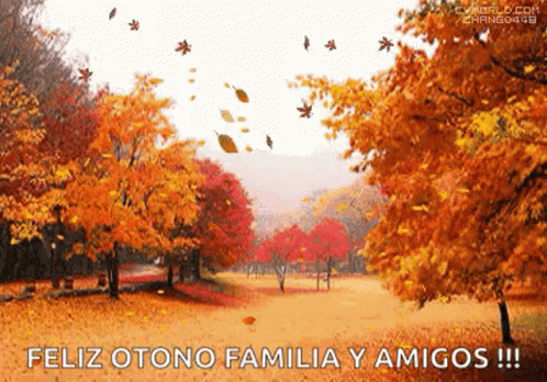 Fall Is Here Autumn GIF - Fall Is Here Autumn October GIFs