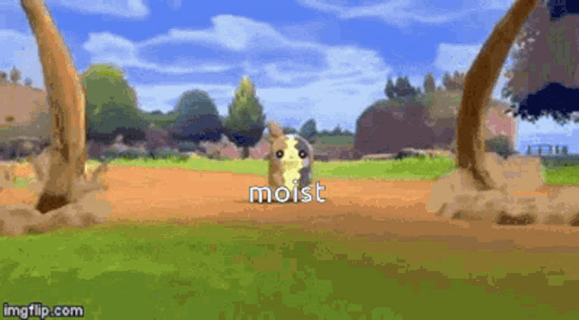 a pokemon is standing in the dirt with the word moist on it .
