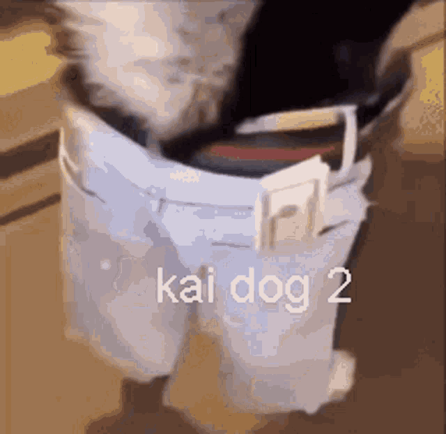 Kai Dog Kai Dog2 GIF - Kai Dog Kai Dog2 Kai Kai Dog GIFs