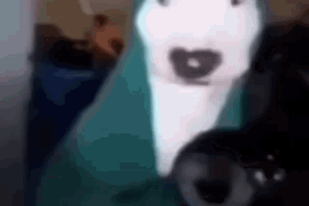 a white dog wearing a green hoodie is standing next to a black dog in a blurry photo .