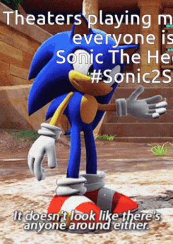 Sonic The Hedgehog2 Sonic GIF - Sonic The Hedgehog2 Sonic Sweep GIFs