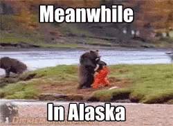 Alaska Hi GIF - Alaska Hi Fight GIFs