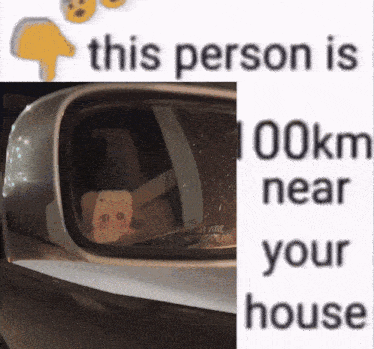 a picture of a cat in a car rear view mirror with the words this person is 100km near your house