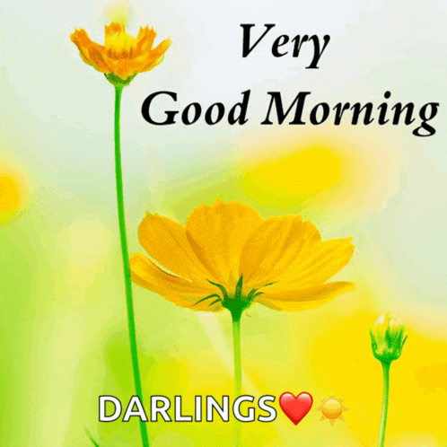 a very good morning darlings greeting card with yellow flowers